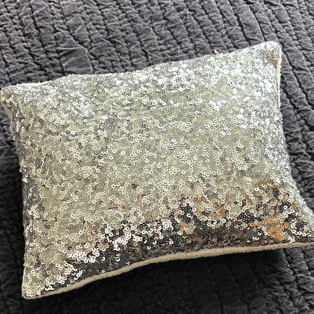 Pottery Barn Teen Silver Sequin Pillow cover and insert 16x12